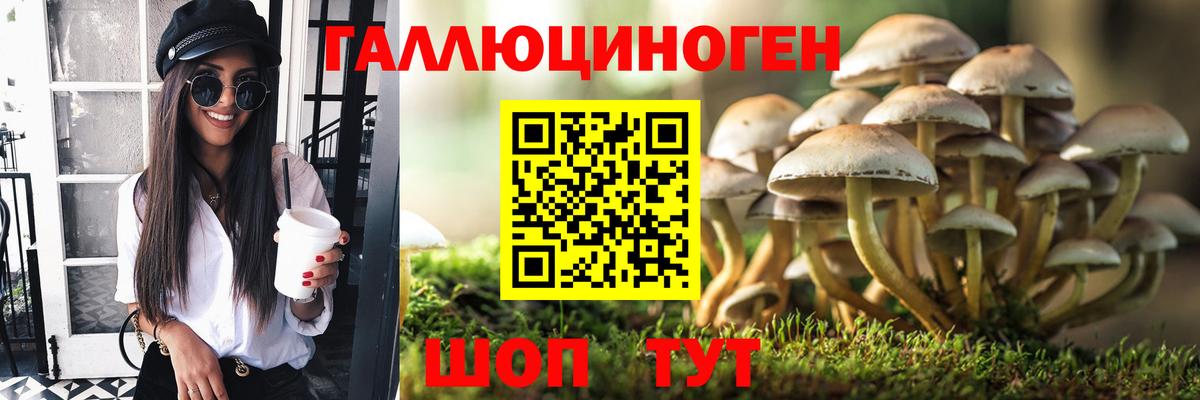 Псилоцибиновые грибы прущие грибы  Галлюциногенные грибы GOLDEN TEACHER  Мытищи  Вход с VPN 